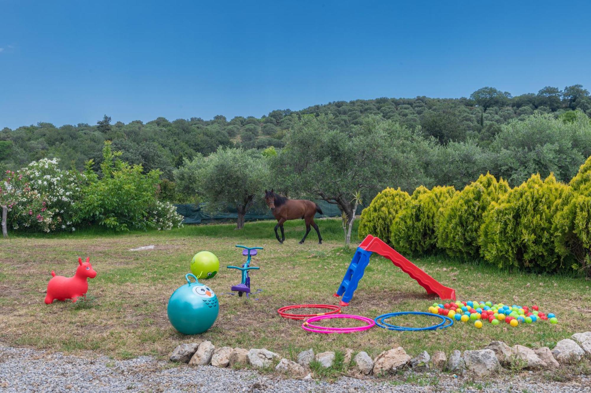 Elarchon Villa Private Pool Episkopi  Bagian luar foto